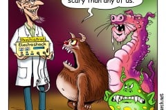 228